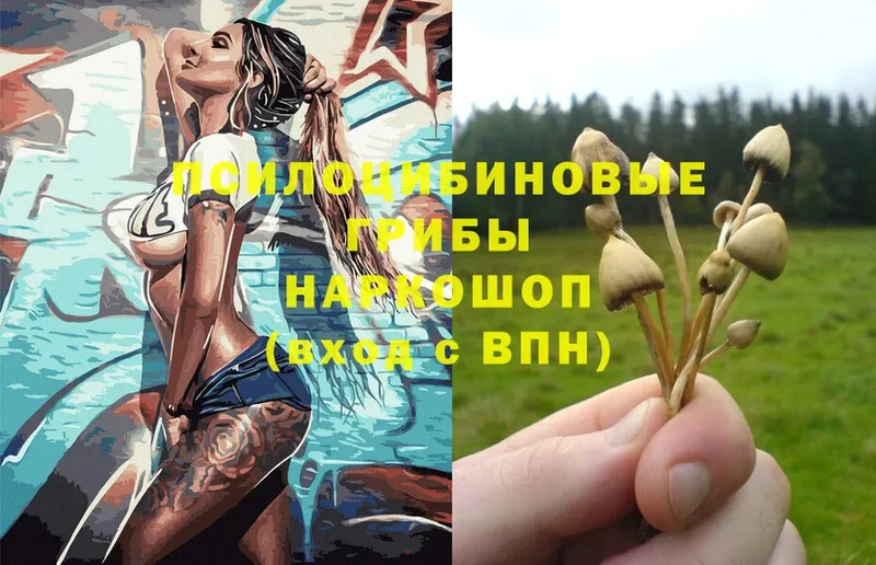 Галлюциногенные грибы Magic Shrooms  купить наркотик  Белогорск 